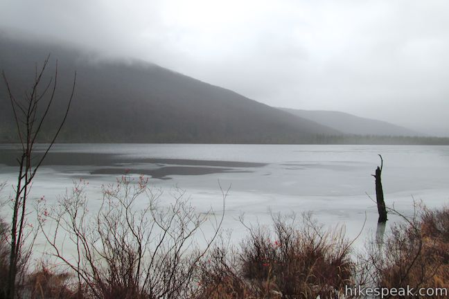 Labrador Pond