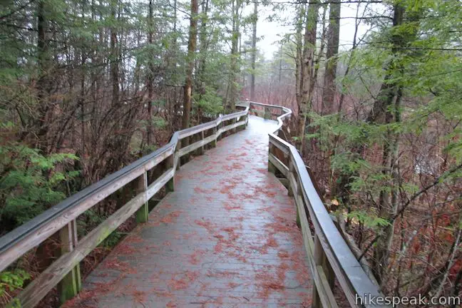 Labrador Hollow Boardwalk