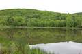 Harpur Pond Binghamton University Nature Preserve