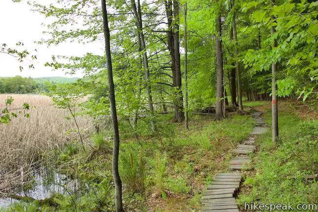 Redwing Trail Binghamton University Nature Preserve