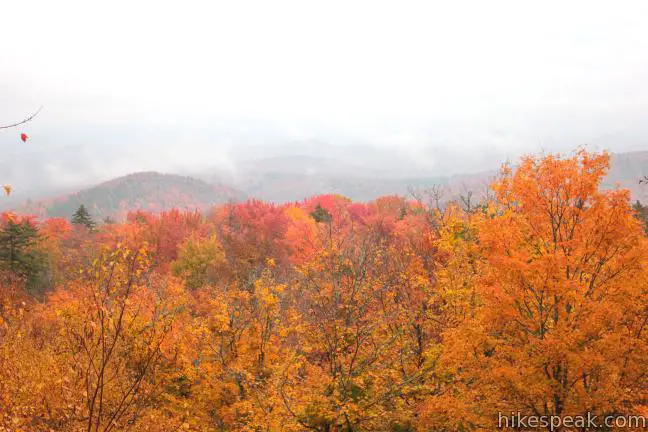 Sawyer Mountain Trail View Adirondacks