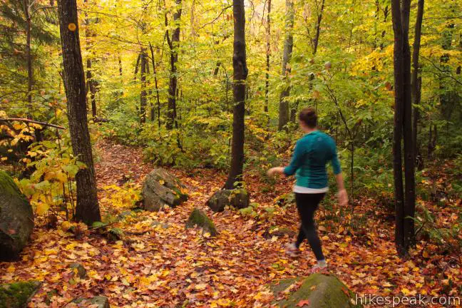 Adirondack Sawyer Mountain Trail