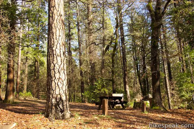 Castle Crags State Park Campground