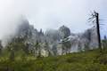 Castle Crags Wilderness