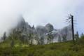 Castle Crags Wilderness