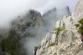 Castle Crags Wilderness