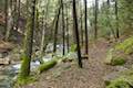 Root Creek Trail Castle Crags