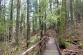 Root Creek Trail Castle Crags