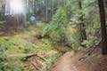 Root Creek Trail Castle Crags