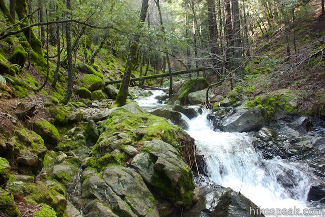 Root Creek Castle Crags State Park