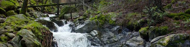 Root Creek Trail Castle Crags State Park hike Northern California