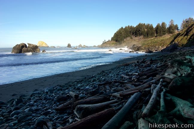 Hidden Beach California Driftwood