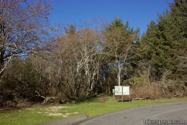 Lagoon Creek Picnic Area Trailhead