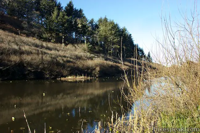 Lagoon Creek Picnic Area