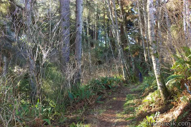 Yurok Loop Trail