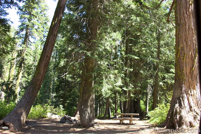 Castle Lake Campground Shasta-Trinity National Forest