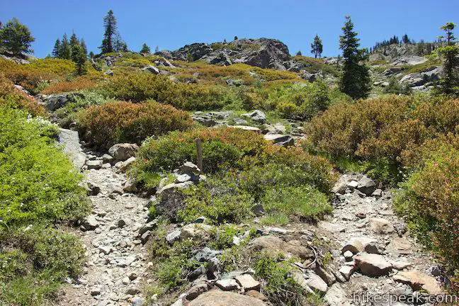 Castle Lake Trail Heart Lake Trail