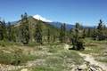 Heart Lake Trail Mount Shasta
