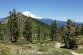 Heart Lake Trail Mount Shasta