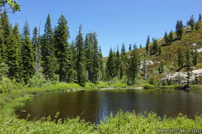 Little Castle Lake Shasta-Trinity National Forest