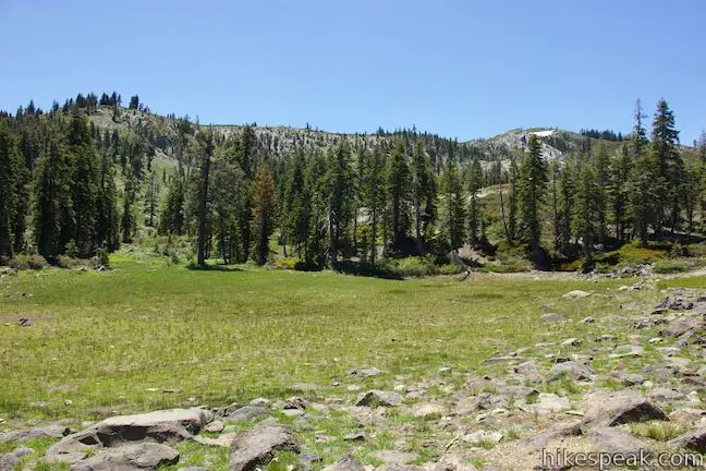 Little Castle Lake Trail Meadow