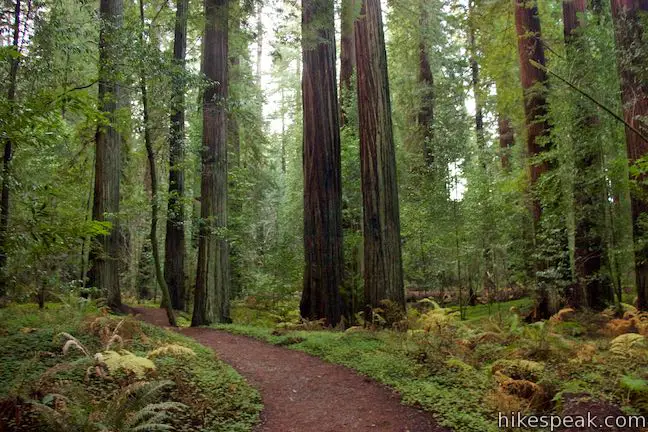 Drury-Chaney Loop Trail