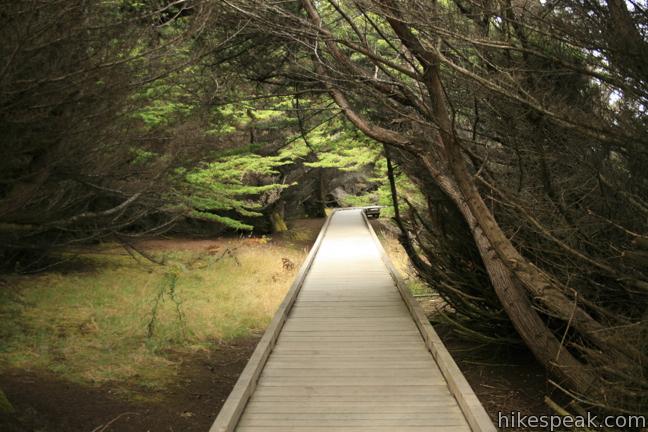 MacKerricher State Park