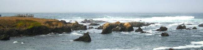 Laguna Point Boardwalk California MacKerricher State Park