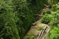 Fern Canyon Trail