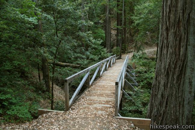 This 1.25-mile loop explores patches of redwoods surrounded by a shaded oak forest in Richardson Grove Redwoods State Park.