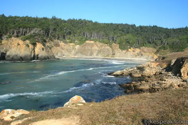 Salt Point Stump Beach Cove