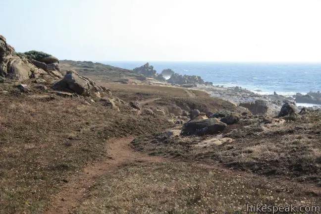 Salt Point Trail