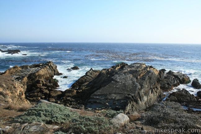 Salt Point California