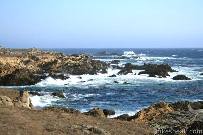 This 3-mile out and back hike explores the jagged coast at the heart of Salt Point State Park.