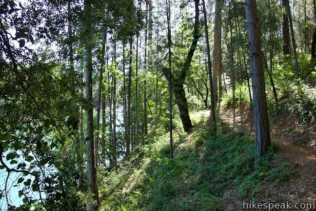 Bailey Cove Trail