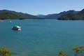 McCloud Arm Shasta Lake