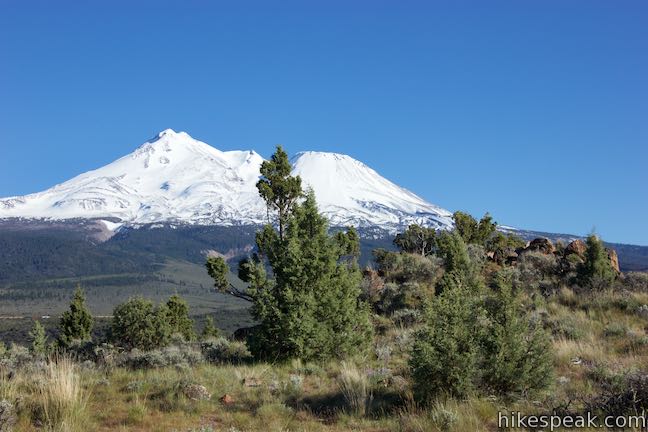 Mount Shasta Haystack View