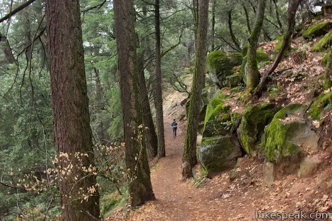 Hedge Creek Falls Trail