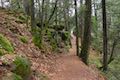 Hedge Creek Falls Trail Dunsmuir