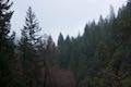 Hedge Creek Falls Trail Mount Shasta