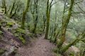 Hedge Creek Falls Trail