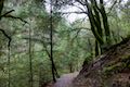 Hedge Creek Falls Trail