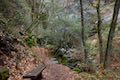 Hedge Creek Falls Hike California