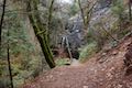 Hedge Creek Falls Trail