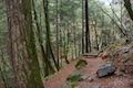 Hedge Creek Falls Trail Hike