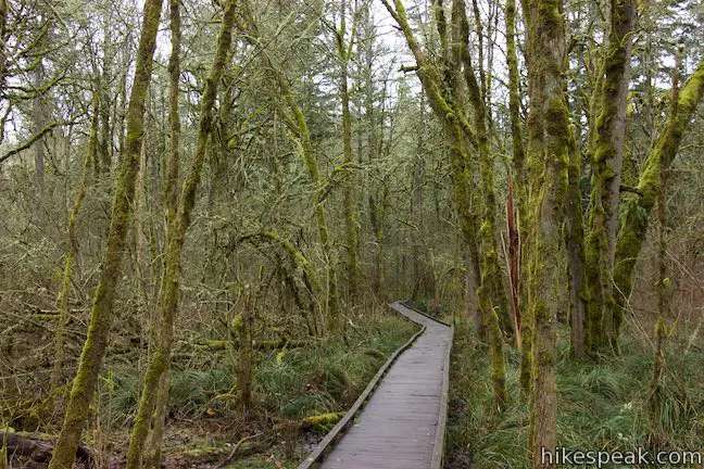 Old Wagon Trail Tualatin Hills Nature Park