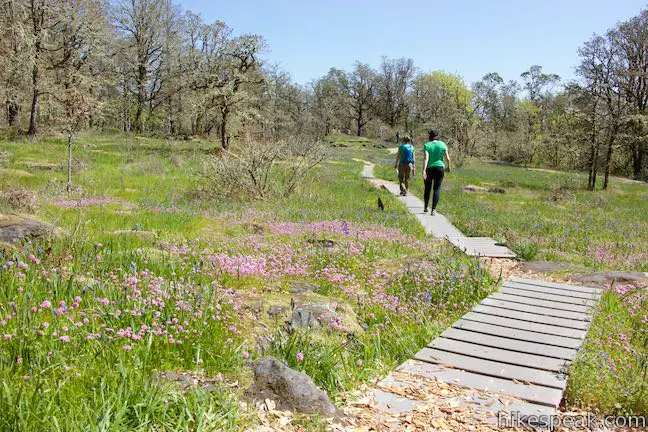 Camassia Natural Area Loop Trail