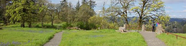 Canemah Bluff Nature Park Oregon City Hike Camas Springs Trail Canemah Bluff Hike Willamette Falls Portland Oregon