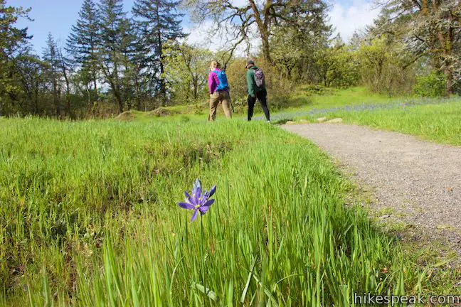 Canemah Bluff Camas Springs Trail