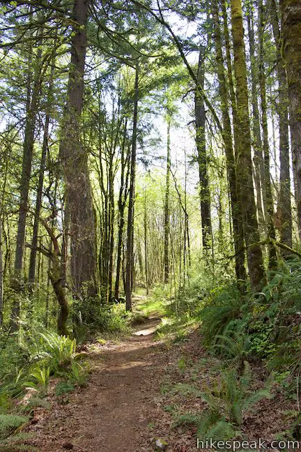 Big Slide Trail Canemah Bluff